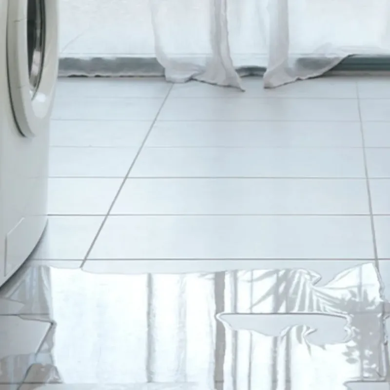 Appliance Leak Cleanup in Mount Healthy, OH