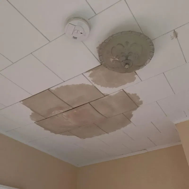 Ceiling Water Damage Repair in Mount Healthy, OH