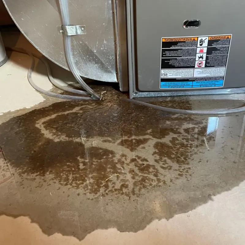 Pipe Burst and Leak Restoration in Mount Healthy, OH