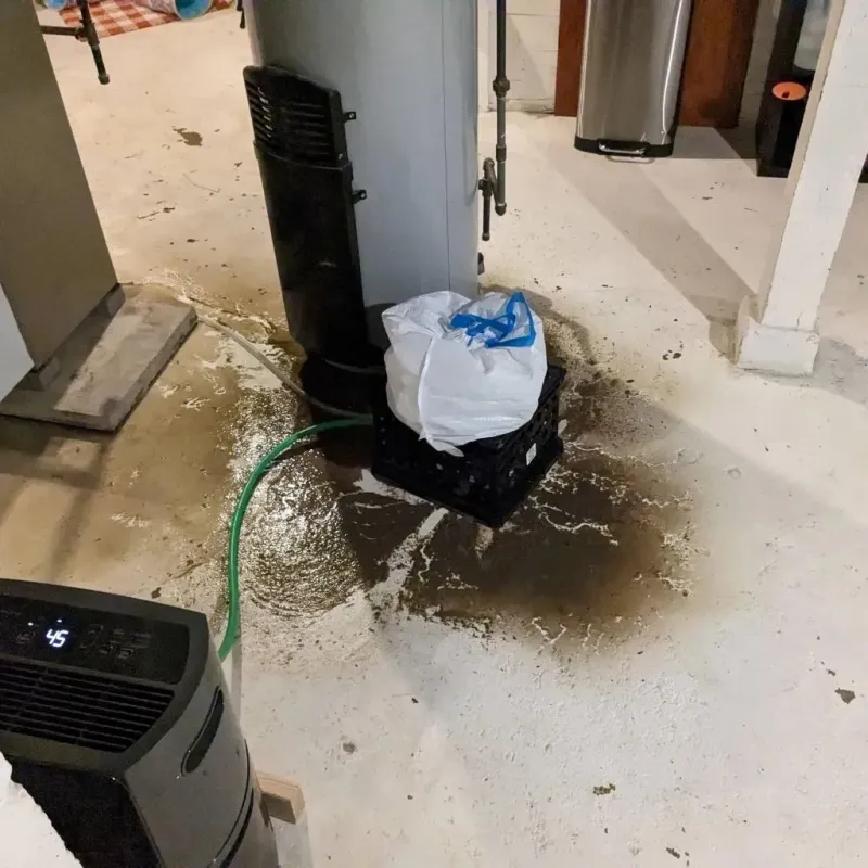 Sewage Backup Cleanup Service in Mount Healthy, OH